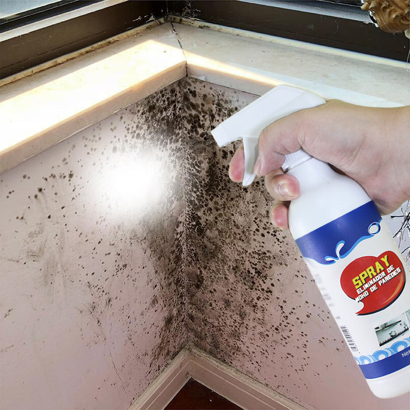 Mold Removal Spray