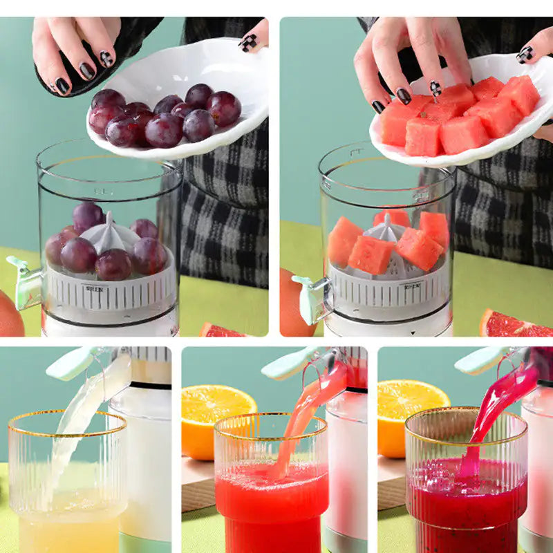 Electric Fruit Blender