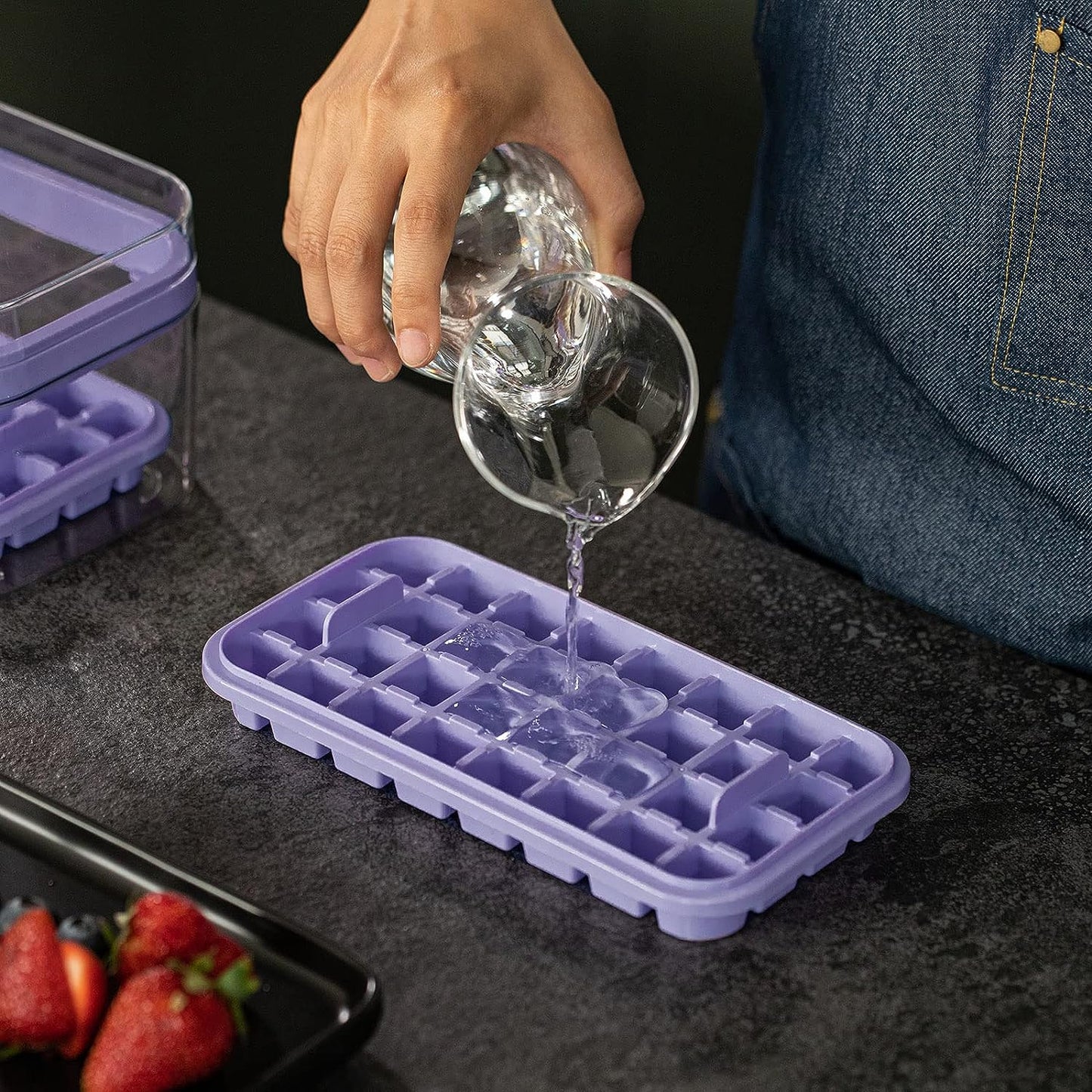 Ice Cube Trays Lid and Bin