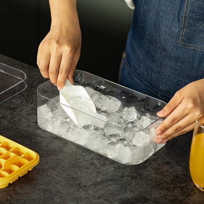 Ice Cube Trays Lid and Bin